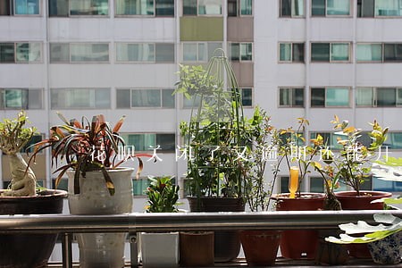 花呗关闭了又逾期还能开吗 花呗关闭了又逾期还能开吗