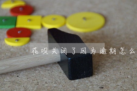 花呗关闭了因为逾期怎么可以开通 花呗关闭了因为逾期怎么可以开通
