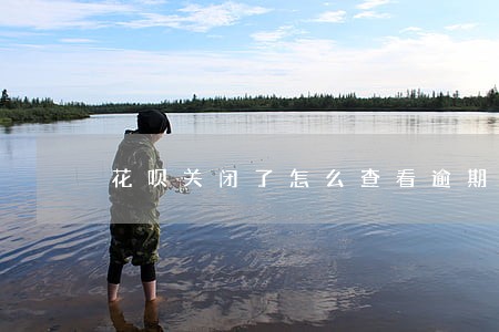 花呗关闭了怎么查看逾期 花呗关闭了怎么查看逾期