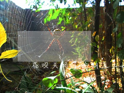 花呗关闭了逾期怎么还 花呗关闭了逾期怎么还