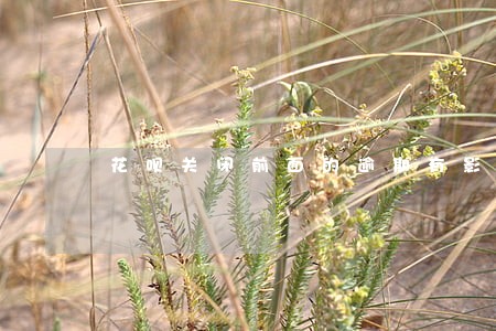 花呗关闭前面的逾期有影响没 花呗关闭前面的逾期有影响没
