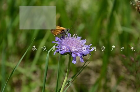 花呗关闭后逾期会产生利息 花呗关闭后逾期会产生利息