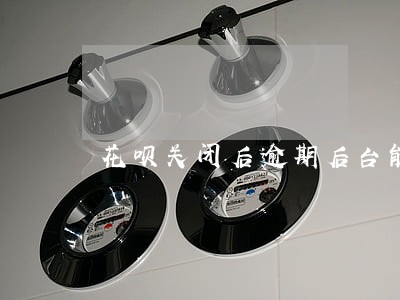花呗关闭后逾期后台能否查看 花呗关闭后逾期后台能否查看