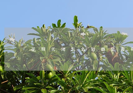 花呗关闭怎么知道是否有逾期 花呗关闭怎么知道是否有逾期