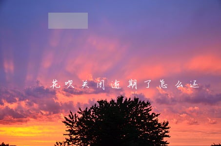 花呗关闭逾期了怎么还 花呗关闭逾期了怎么还