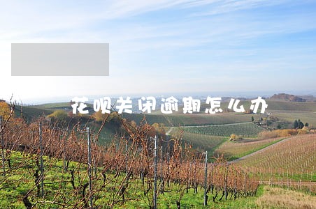 花呗关闭逾期怎么办