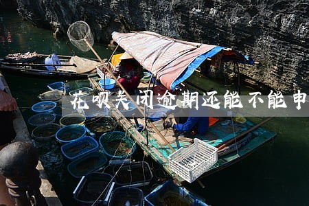 花呗关闭逾期还能不能申诉 花呗关闭逾期还能不能申诉