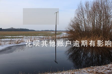 花呗其他账户逾期有影响吗 花呗其他账户逾期有影响吗