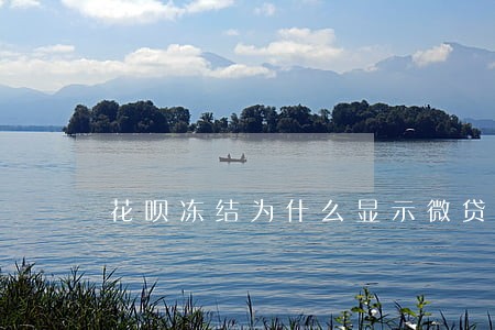 花呗冻结为什么显示微贷逾期 花呗冻结为什么显示微贷逾期