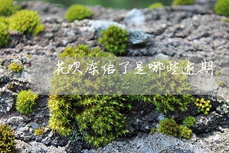 花呗冻结了是哪些逾期