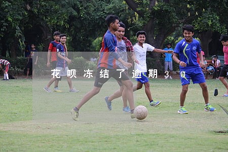 花呗冻结了逾期30 花呗冻结了逾期30