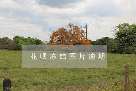 花呗冻结图片逾期