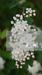 花呗冻结微贷逾期 花呗冻结微贷逾期