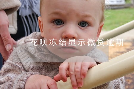 花呗冻结显示微贷逾期 花呗冻结显示微贷逾期