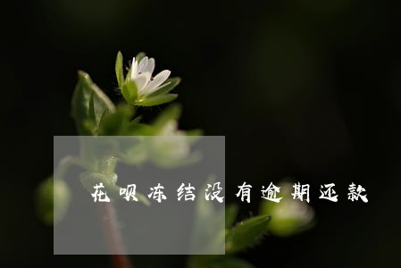 花呗冻结没有逾期还款 花呗冻结没有逾期还款