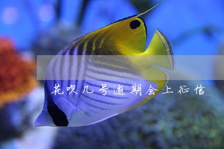 花呗几号逾期会上征信 花呗几号逾期会上征信