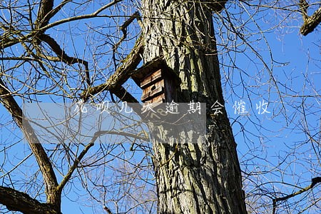 花呗几天逾期会催收 花呗几天逾期会催收