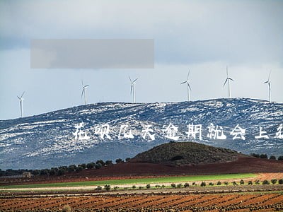 花呗几天逾期就会上征信 花呗几天逾期就会上征信
