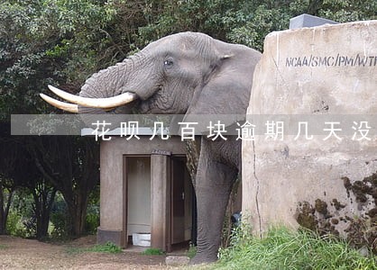 花呗几百块逾期几天没事吧
