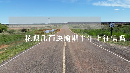 花呗几百块逾期半年上征信吗 花呗几百块逾期半年上征信吗