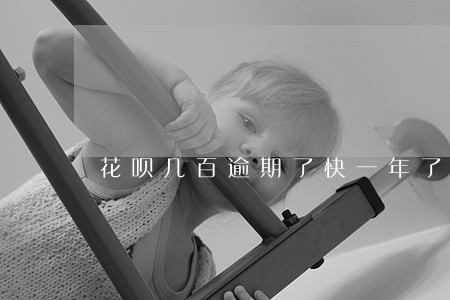 花呗几百逾期了快一年了 花呗几百逾期了快一年了