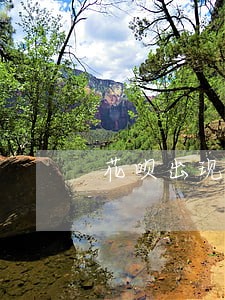 花呗出现逾期必须要全部结清吗 花呗出现逾期必须要全部结清吗