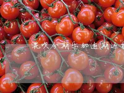 花呗分期乐都逾期还能借款吗 花呗分期乐都逾期还能借款吗