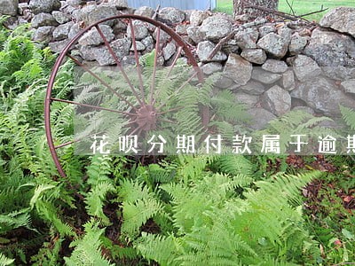 花呗分期付款属于逾期吗 花呗分期付款属于逾期吗