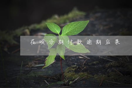 花呗分期付款逾期后果 花呗分期付款逾期后果