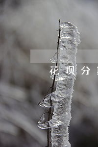 花呗分期会影响逾期吗 花呗分期会影响逾期吗
