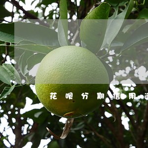 花呗分期信用逾期未来可期 花呗分期信用逾期未来可期