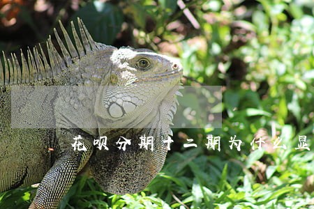 花呗分期十二期为什么显示逾期 花呗分期十二期为什么显示逾期