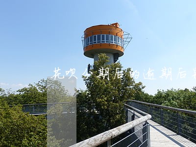 花呗分期后的逾期后果 花呗分期后的逾期后果