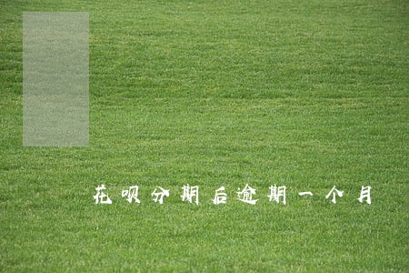 花呗分期后逾期一个月 花呗分期后逾期一个月