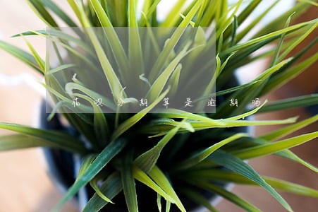 花呗分期算是逾期吗 花呗分期算是逾期吗
