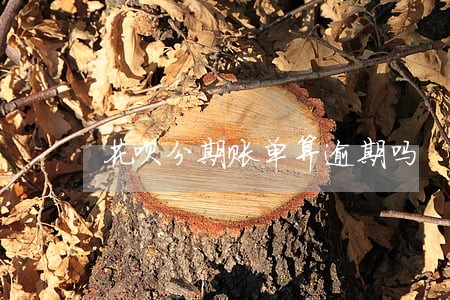 花呗分期账单算逾期吗 花呗分期账单算逾期吗