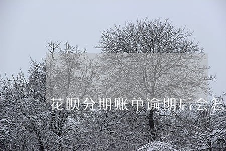 花呗分期账单逾期后会怎么样