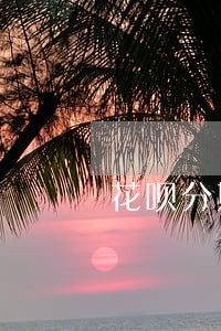 花呗分期还款逾期影响信用吗 花呗分期还款逾期影响信用吗