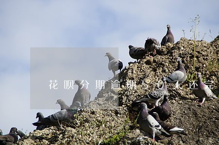 花呗分期逾期50天还完恢复了 花呗分期逾期50天还完恢复了
