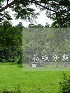 花呗分期逾期一个月有什么影响 花呗分期逾期一个月有什么影响