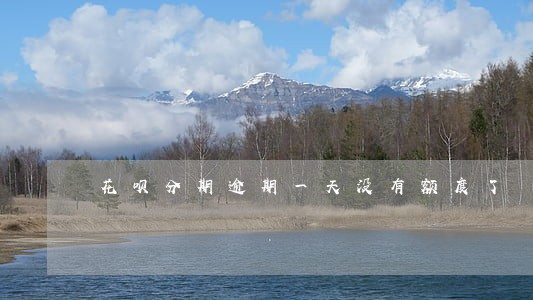 花呗分期逾期一天没有额度了 花呗分期逾期一天没有额度了
