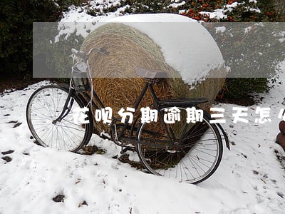 花呗分期逾期三天怎么办 花呗分期逾期三天怎么办