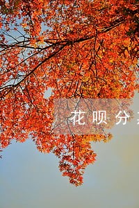 花呗分期逾期两天还款会怎么样