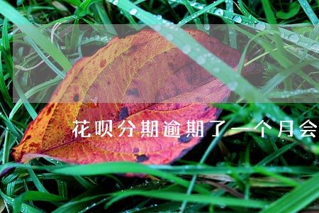 花呗分期逾期了一个月会如何 花呗分期逾期了一个月会如何