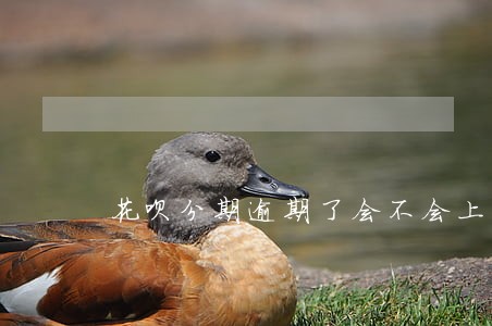 花呗分期逾期了会不会上门催债 花呗分期逾期了会不会上门催债