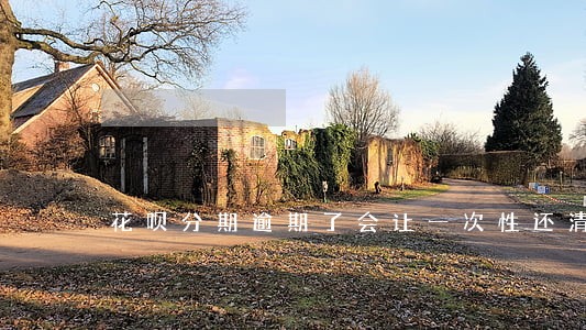 花呗分期逾期了会让一次性还清吗 花呗分期逾期了会让一次性还清吗