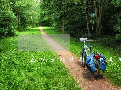 花呗分期逾期了能退款吗