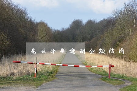 花呗分期逾期全额结清 花呗分期逾期全额结清