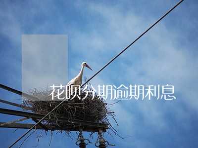 花呗分期逾期利息 花呗分期逾期利息