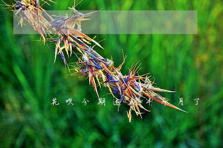 花呗分期逾期半个月了 花呗分期逾期半个月了